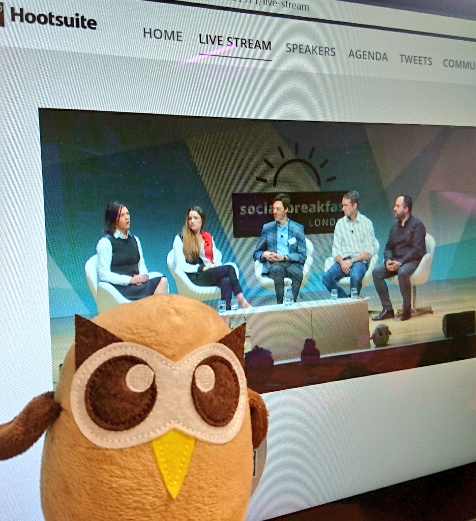HTBates's tweet image. My little owly is enjoying this livestream too!  #HootSocialBreakfast #LifeofOwly