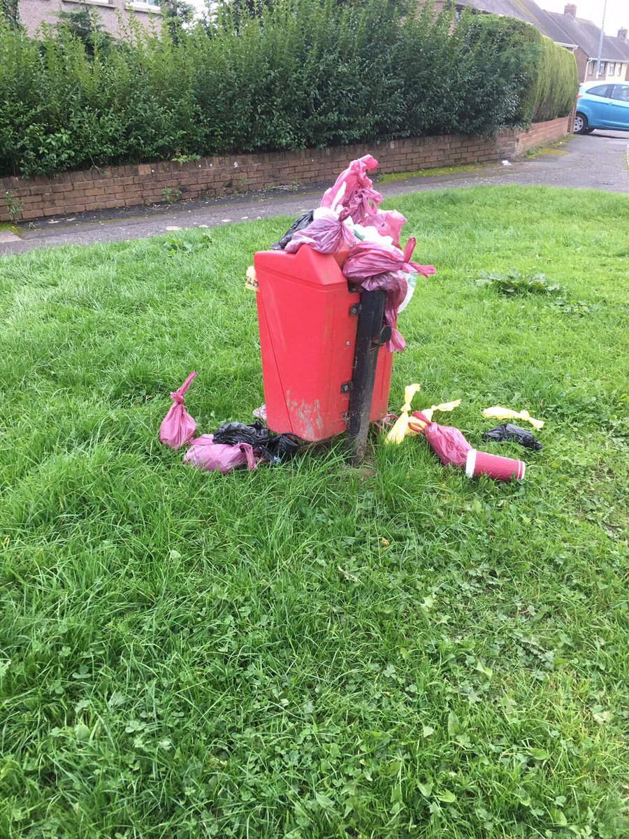 Miranda_J_T's tweet photo. @KeepNeathTidy what a disgusting sight in Caewern! This more than a few days worth of dog waste! https://t.co/MxWZ7MJmT9