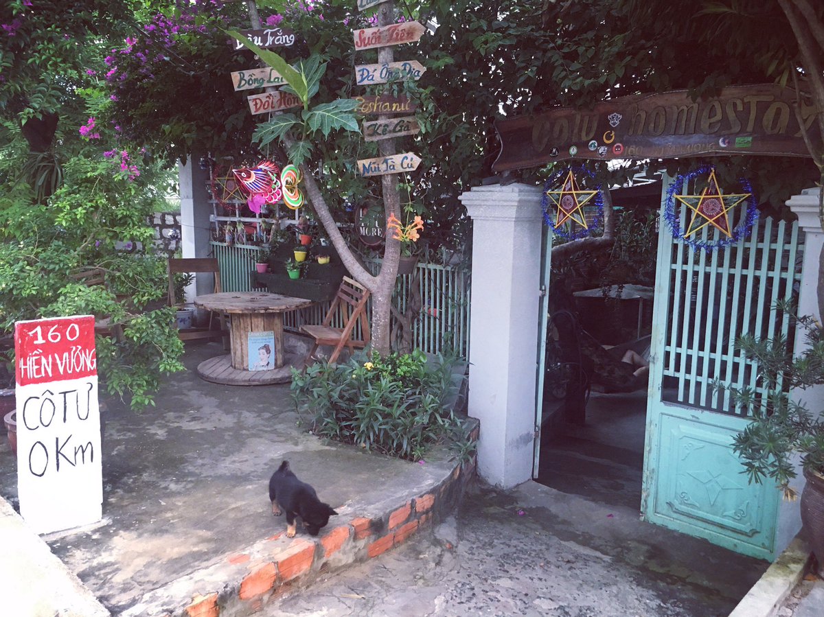 cotuhomestay's tweet photo. Lâu lâu mới cho em lên sóng, mà nỡ nào chụp hình không báo em, để em ngẩng mặt lên làm duyên Kkk https://t.co/gx5kqSfYfL