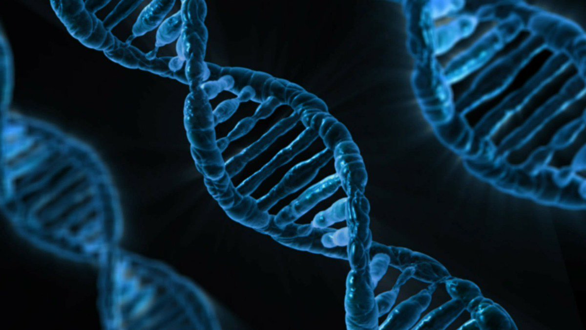 coursefindr's tweet photo. @RoyalSocBio do your followers know where they can study Biology in the UK?

https://t.co/ASKi2UD9f6

#Biology #BiologyDegree #University https://t.co/cBLqErogg5