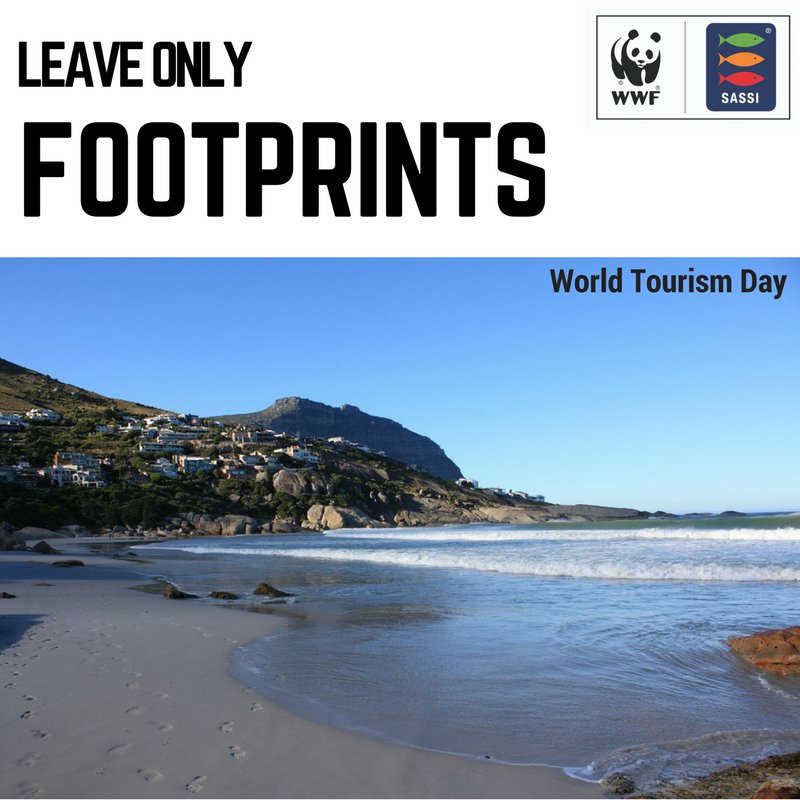 WWFSASSI's tweet photo. You have a choice. Make it Green. #WorldTourismDay #SustainableTourism #SustainableSeafood #WWFSASSI @WWFSouthAfrica https://t.co/GJi93KIhjQ