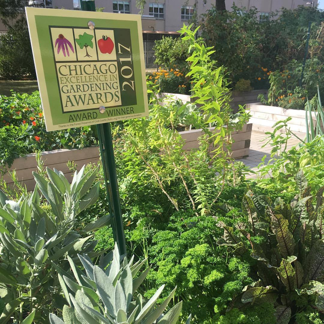 UICAHS's tweet photo. Congrats to #UICKN's teaching garden on winning a 2017 Chicago Excellence in Gardening Award in the “school garden” category! https://t.co/WostBGzoZw