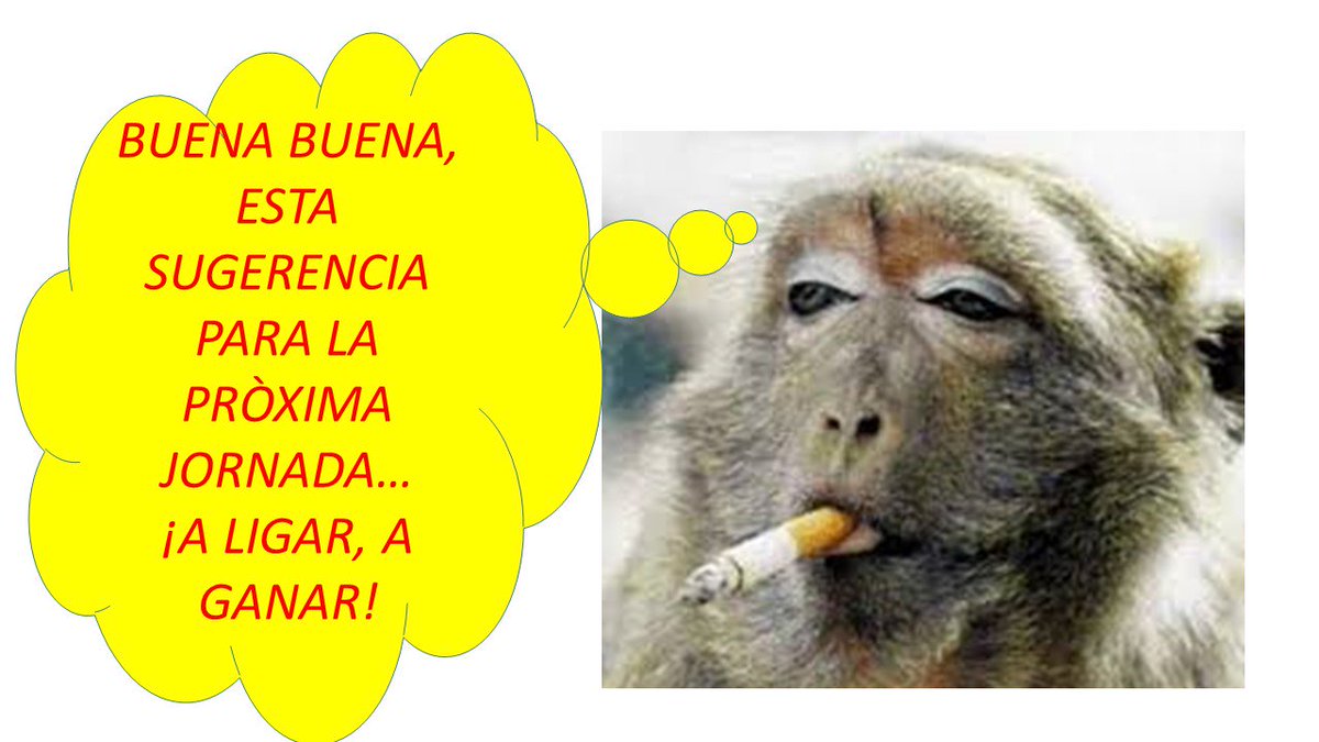 NOQCAMP's tweet photo. MIÉRCOLES 27 Sept. SUGERENCIAS ANIMALITOS 
@ruletactivave@lottoactivo  03-CIEMPIES Y 17-PAVO..
Envía (LOTO y RULETA al 5151). https://t.co/9TFdOxWoBy