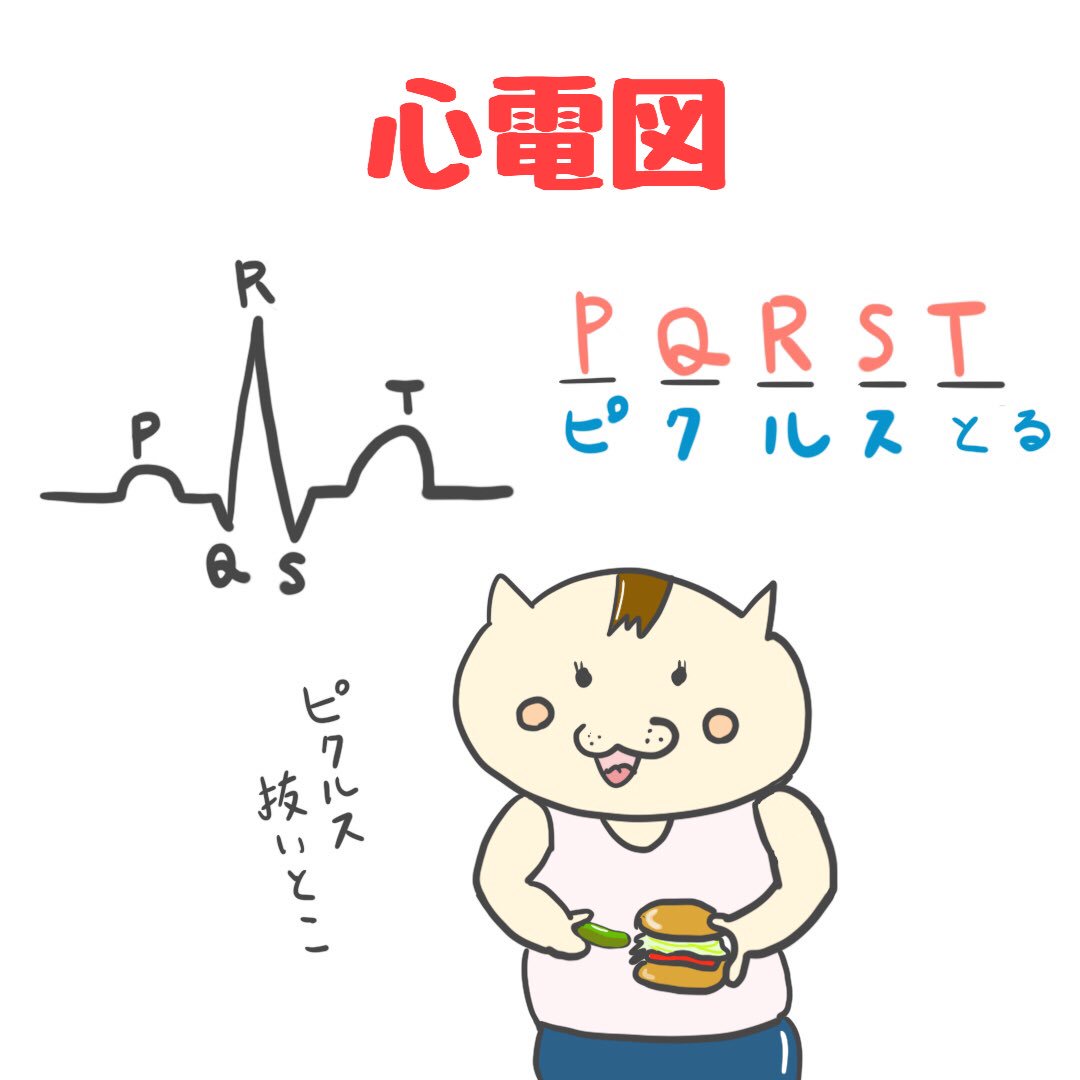 ゴロ−@解剖生理イラスト on Twitter: &quot;ポップに覚える！ 【心電図波形の名称】 PQRST ピクルス取る… &quot;