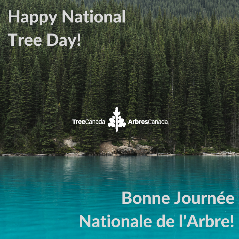 ArbresCanada's tweet photo. @ArbresCanada vous souhaite une bonne #JourNatArbres! π³π #NatTreeDay #NationalForestWeek #NatTreeDayContest https://t.co/ESzwMDXwrD