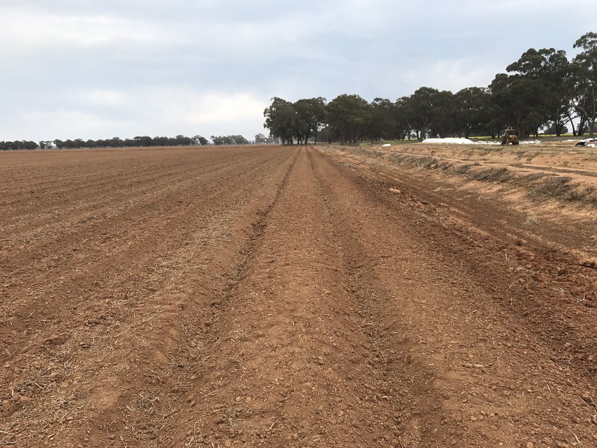 KokeeffeK's tweet photo. Finley growers thinking about cotton today. Great to see bankless layout at Lachie McLeods @CottonInfoAust @CottonAustralia @CottonResearch https://t.co/z8nJcbao8R