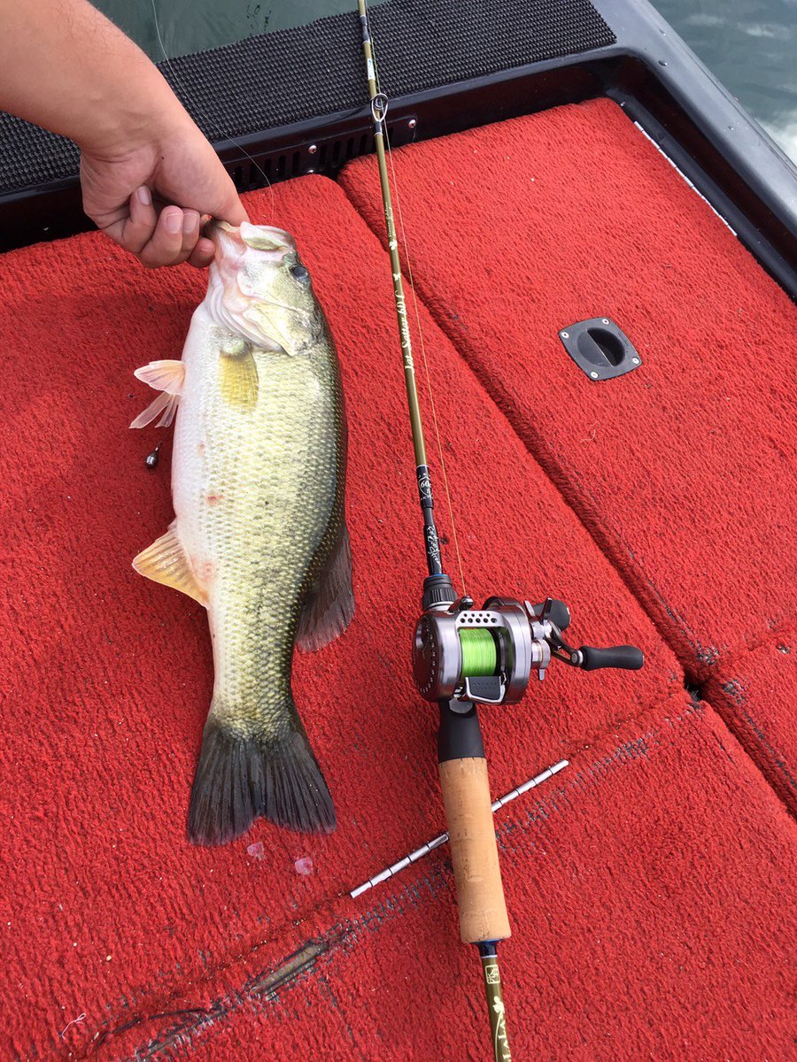 Dコンボーイ 急遽24に初めて琵琶湖にバス釣り行きました 年振り ロッドとリール以外は全てバス ボートのガイドさんにお借りして46筆頭に15匹位釣りましたガイドさんが良いのかタックルが良かったのか運が良かったのか笑楽しかったです Dコンボーイ 急遽24に初めて琵琶湖にバス釣り行きました 年振り ロッドとリール以外は全てバス ボートのガイドさんにお借りして46筆頭に15匹位釣りましたガイドさんが良いのかタックルが良かったのか運が良かったのか笑楽しかったです