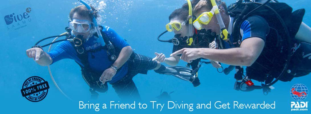 divemakers's tweet image. 