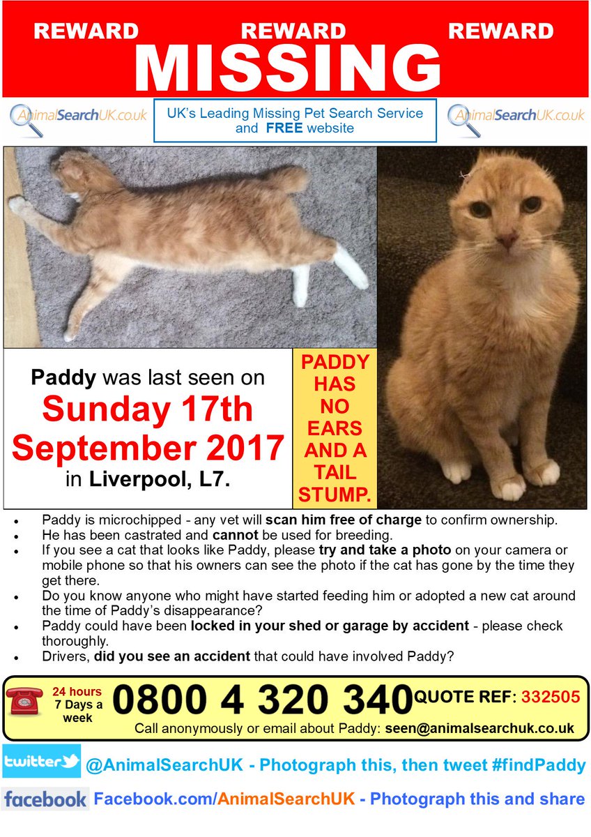 AnimalSearchUK's tweet photo. PLZ RT @RSPCALiverpool @LivEchonews @CatsProtection #missingcat #liverpool #L7 #findpaddy
https://t.co/Ji2zq03SPY https://t.co/r7PtOq6WEY
