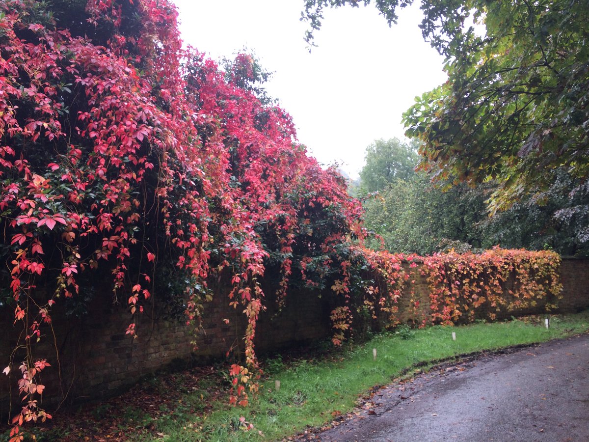 Seasons are changing at Bickerton. <a href="/nationaltrust/">National Trust</a>