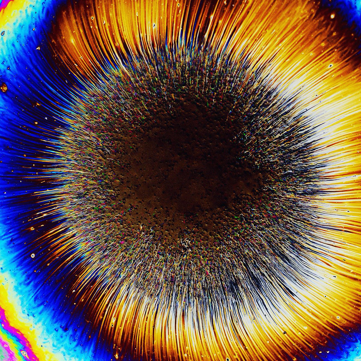 concepcionart's tweet photo. A thin film of oil is inspiring me today.  https://t.co/sjf7NfPAiB https://t.co/hPxWwhVOA5