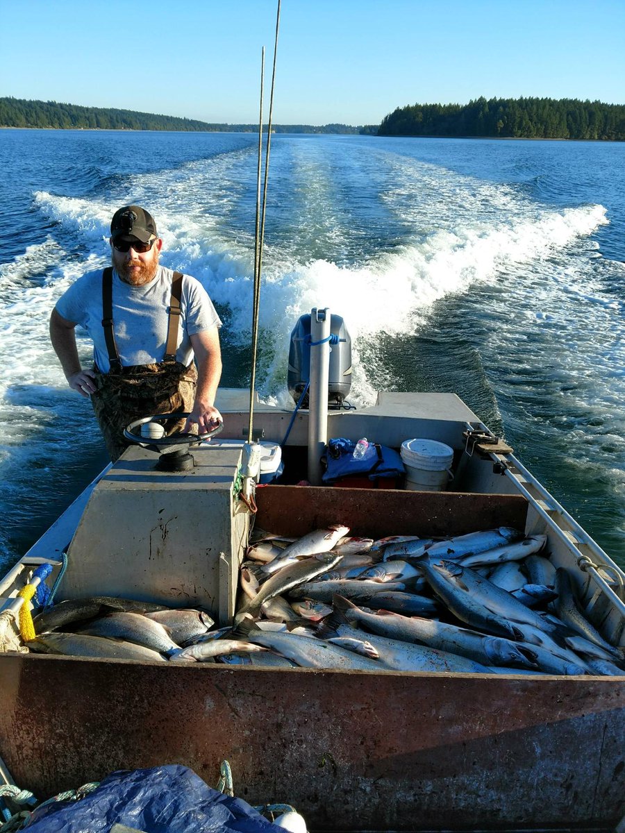 Chetwoot74's tweet photo. It was good day fishing coho in the south Puget Sound Tuesday. Ready catch more today. #treatyrights #squaxin #coho https://t.co/SuSn6LZTlF