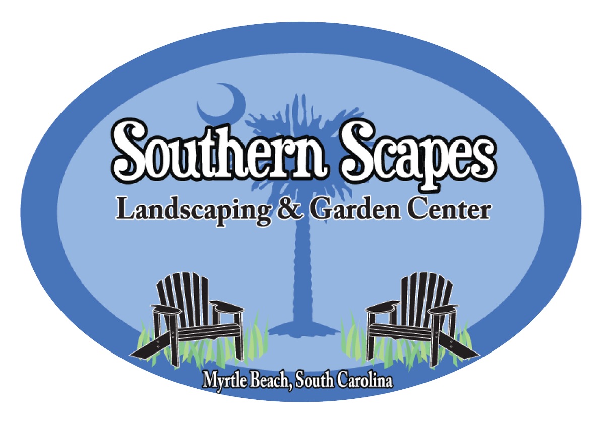 SouthrnScapes's tweet photo. Stunning pink new growth sets #BlushPinkNandina apart from its rivals. Come by today to get yours! #GardenCenter #ShopLocal #MyrtleBeach https://t.co/T2a2eZBtM8