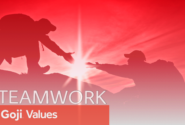 Goji_Life's tweet photo. Goji Values: Teamwork
Hiring Licensed Agents Now! To Learn More Visit: https://t.co/uwnTkKTlwM
#GojiLife #GojiValues #AgentsDeserveBetter https://t.co/1rV977IlT7