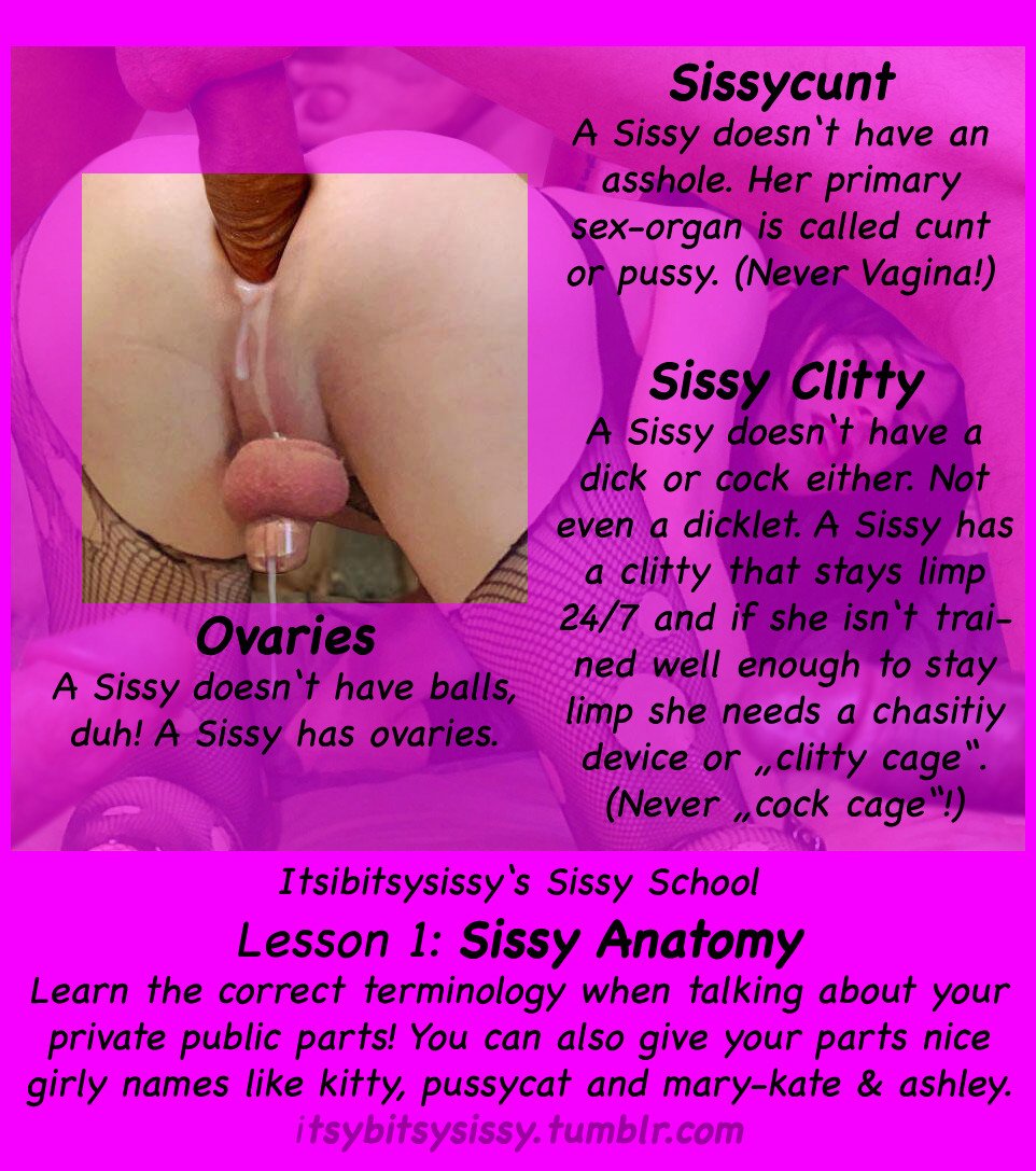 Sissy Mistress Instruction