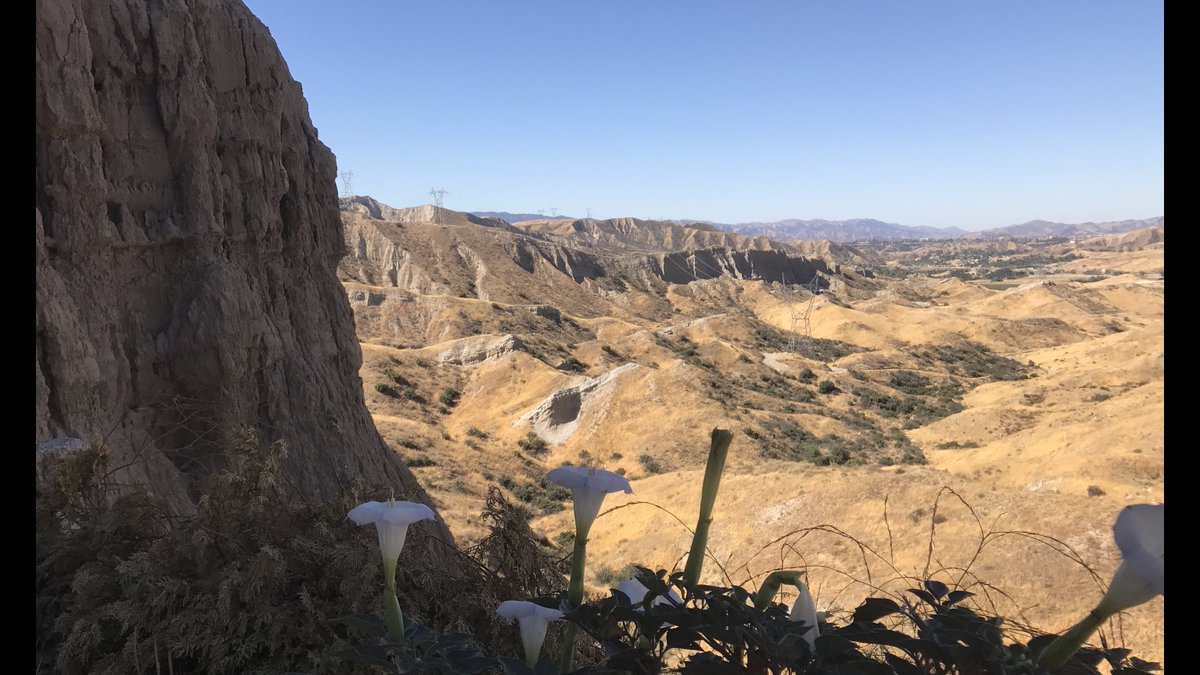 OGdesignguy's tweet image. Travels with Director Steve Boyum holiday episode- day one from  the Lethal Mobile #lethalmachine