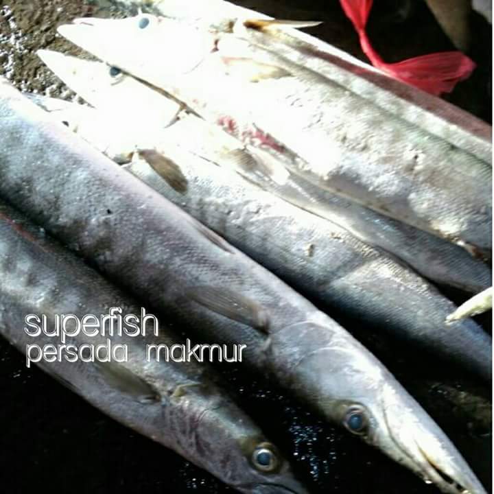SuperFishPM's tweet image. Produk jenis ikan di SUPER FISH (Persada Makmur) mengedepankan kualitas yang unggul serta sesuai dengan kebutuhan masyarakat.