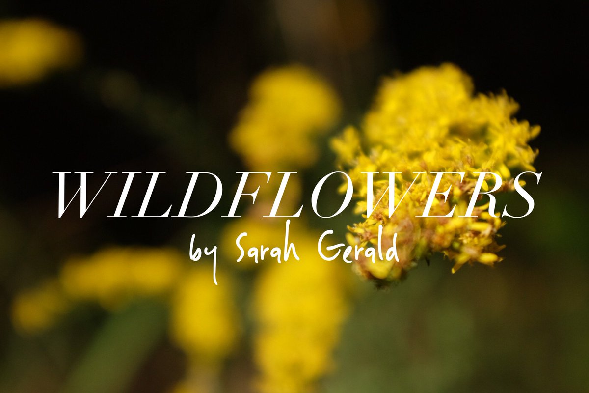 Check out this week’s WILDFLOWER blog from writer &amp; workshop attendee, Sarah Gerald titled “I Am From.” thefold.us/blog/2017/9/12…