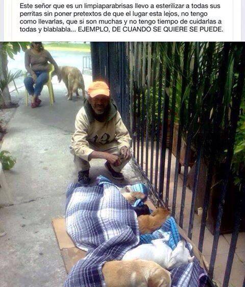 por_perros's tweet photo. Mucha gente humilde y de gran corazon, nos dan ejemplo de conciencia y amor https://t.co/xV2ZWKBtJ0