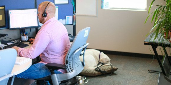 BenitoAtDell's tweet photo. 5 Ways to Teach an Old Dog New Tricks https://t.co/E8eAle4Xpa https://t.co/04faiKJn28