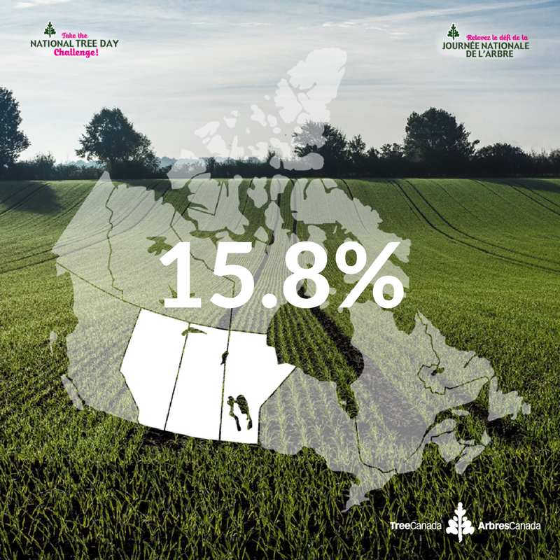 TreeCanada's tweet photo. #NatTreeDayContest #BC & the #Prairies r almost exactly tied at 15.8% each. BC is just 3 π³ ahead!!! > https://t.co/AK24Y23OA7 #NatTreeDay https://t.co/rDM4oOCgFO
