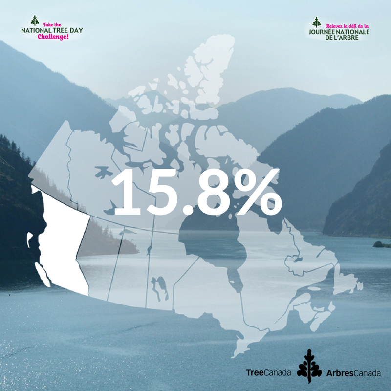 TreeCanada's tweet photo. #NatTreeDayContest #BC & the #Prairies r almost exactly tied at 15.8% each. BC is just 3 π³ ahead!!! > https://t.co/AK24Y23OA7 #NatTreeDay https://t.co/rDM4oOCgFO