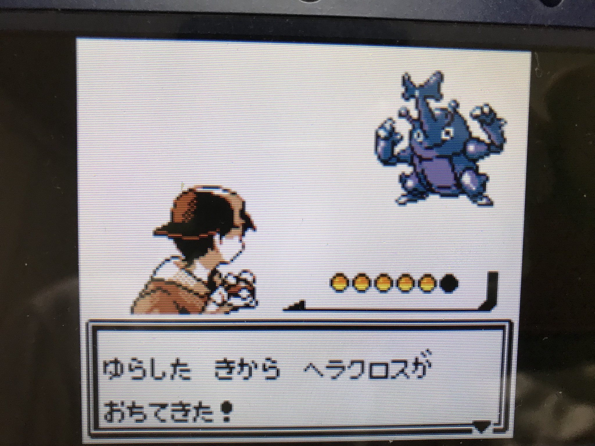 Yato き き かかかきたきたきたきたきちkたきたかtキタキタキタキタ ヘラクロス Vc金銀 ポケモン金銀 T Co Eerb8oz9n6 Twitter