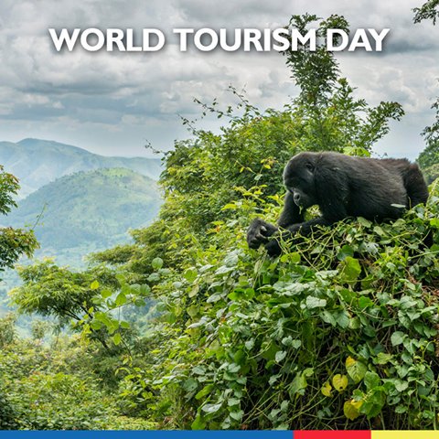 CentenaryBank's tweet photo. Travel • Explore • Make Memories
Embark on thrilling journeys this #WorldTourismDay with the #CenteMobileApp
Happy #WorldTourismDay https://t.co/tPrs42L0Zx