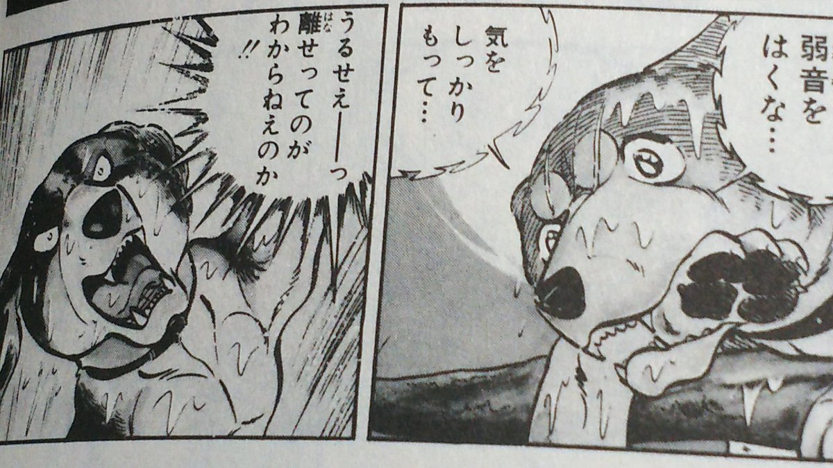 銀牙関連まとめて 銀牙』を読む順番 | 映ヶ峰・漫ヶ岳 単独登頂記