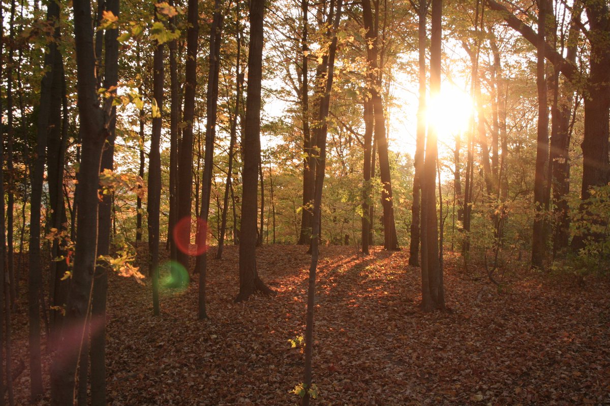 Environment Ontario tweet media
