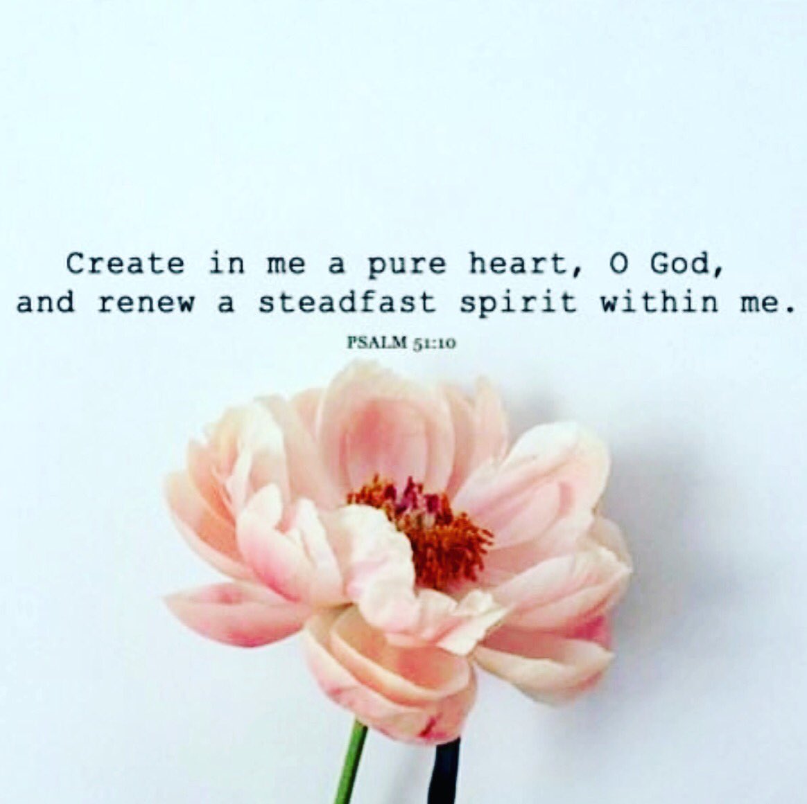 MiamiSpringsSDA's tweet photo. #pureheart #steadfastspirit #holyspiritfilled #overcomingsin #heavenbound #onlywithgod https://t.co/dTUzXONGfi