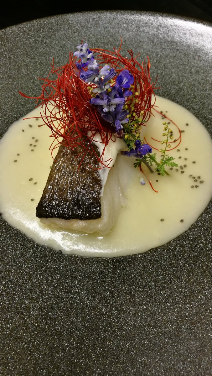 JuanCarAlva's tweet photo. Nuestra #sugerencia de hoy en #trasluz de @meliapalmabay Bacalao al pil pil al estilo de nuestro chef @ToniCanellas #wow https://t.co/l7QITnZoJP