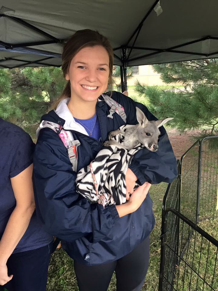NOCEnid_Reslife's tweet photo. Bridge BBQ today 11:30-1 in Montgomery Hall in the Gantz Center! Don't miss seeing the baby Kangaroo! #freefood #extremeanimals https://t.co/PxIXSqHh7I