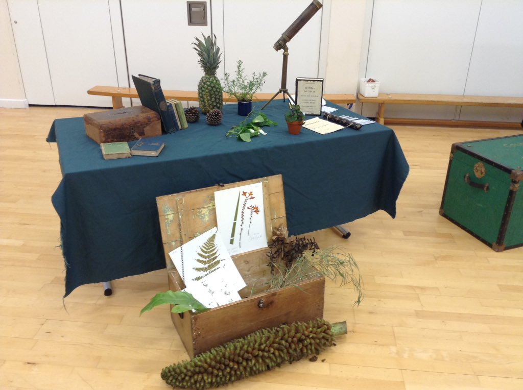 helentaylorMCA's tweet photo. Linnaeus is cool! Drama making science engaging. #Linnaean society @katielobbMCA @DavidSammels @Mayflower_MCA https://t.co/tHSLrk52fB
