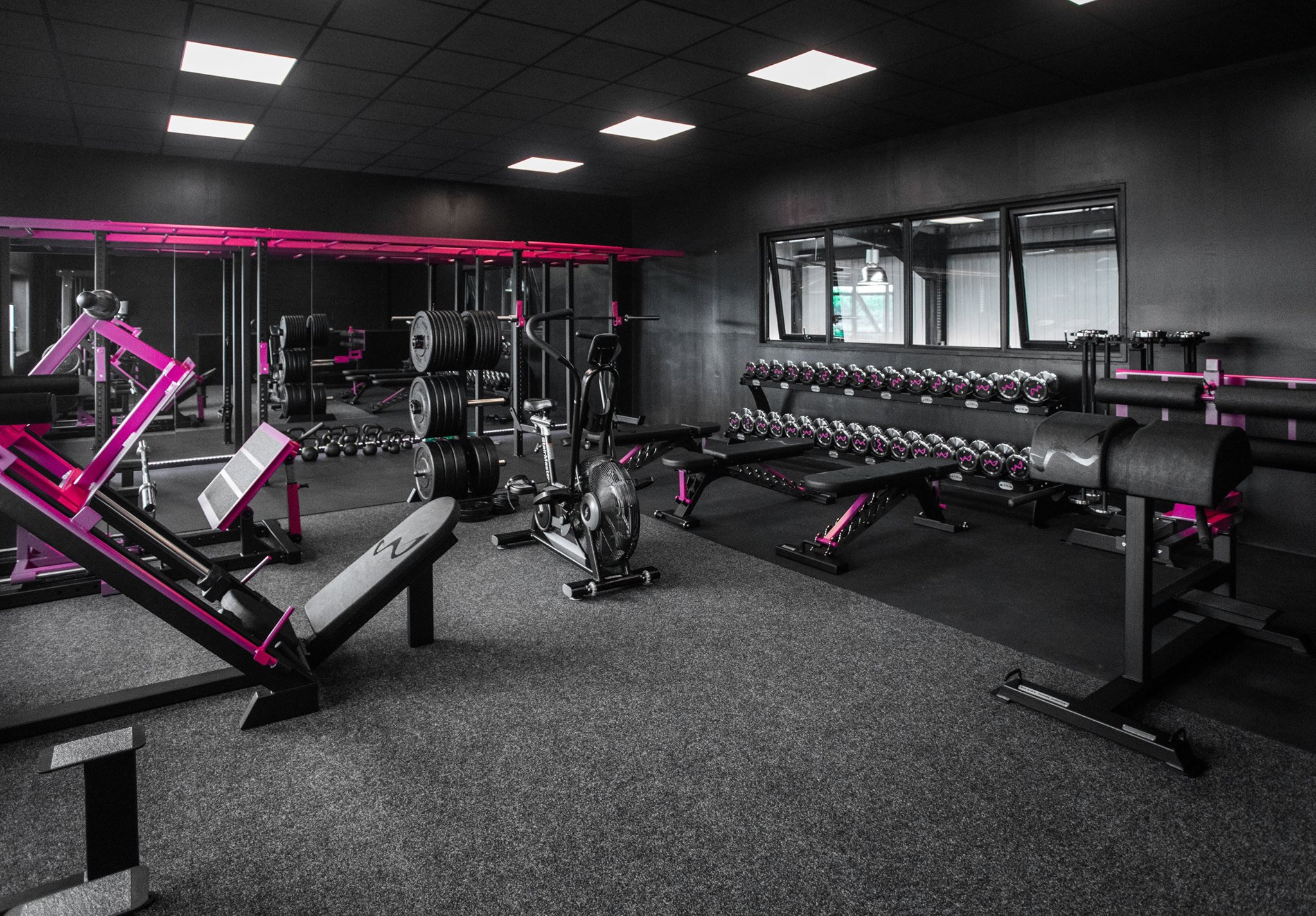 Watson gym equipment frome sale
