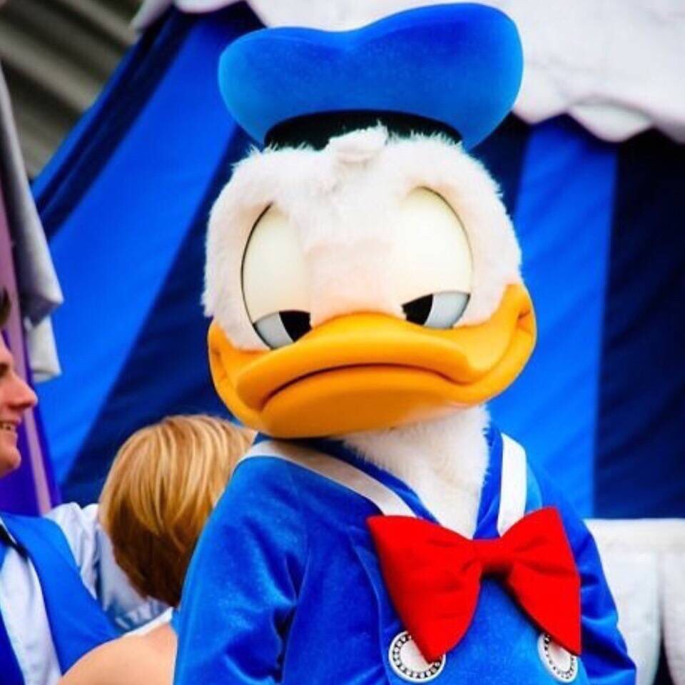 chyhere's tweet image. check in了一间假的无烟房……接下来的两天要死了