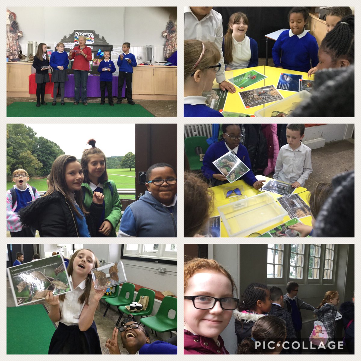 MissWoodWallace's tweet photo. #DinosaursOfChina at @WollatonHall last week. @Chinasaurs17 Fantastic trip! #6DWAreAnAwesomeClass https://t.co/IxD7201Ba1