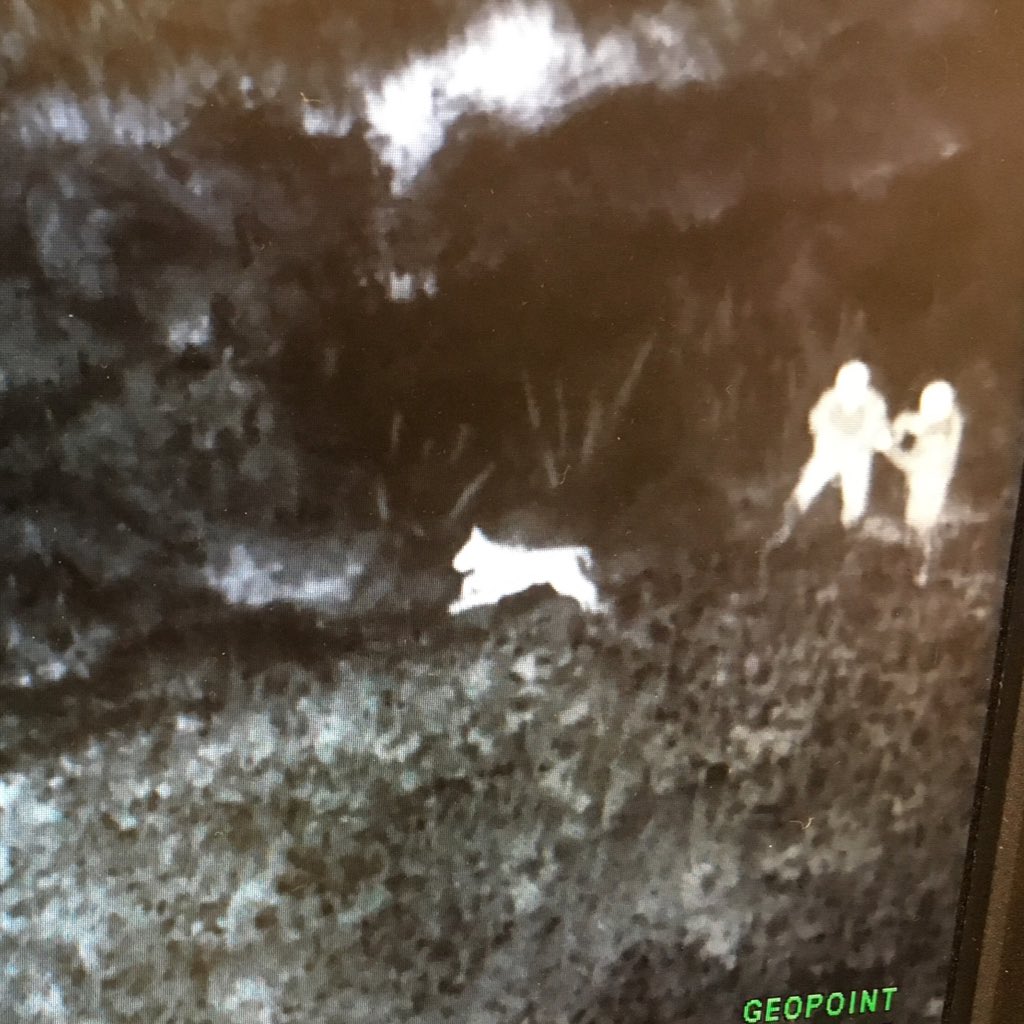 NSP_DogDivision's tweet photo. #NewProfilePic #safeending #gooddecisions #K9cops #thenoseknows https://t.co/OlpMuaO2CK