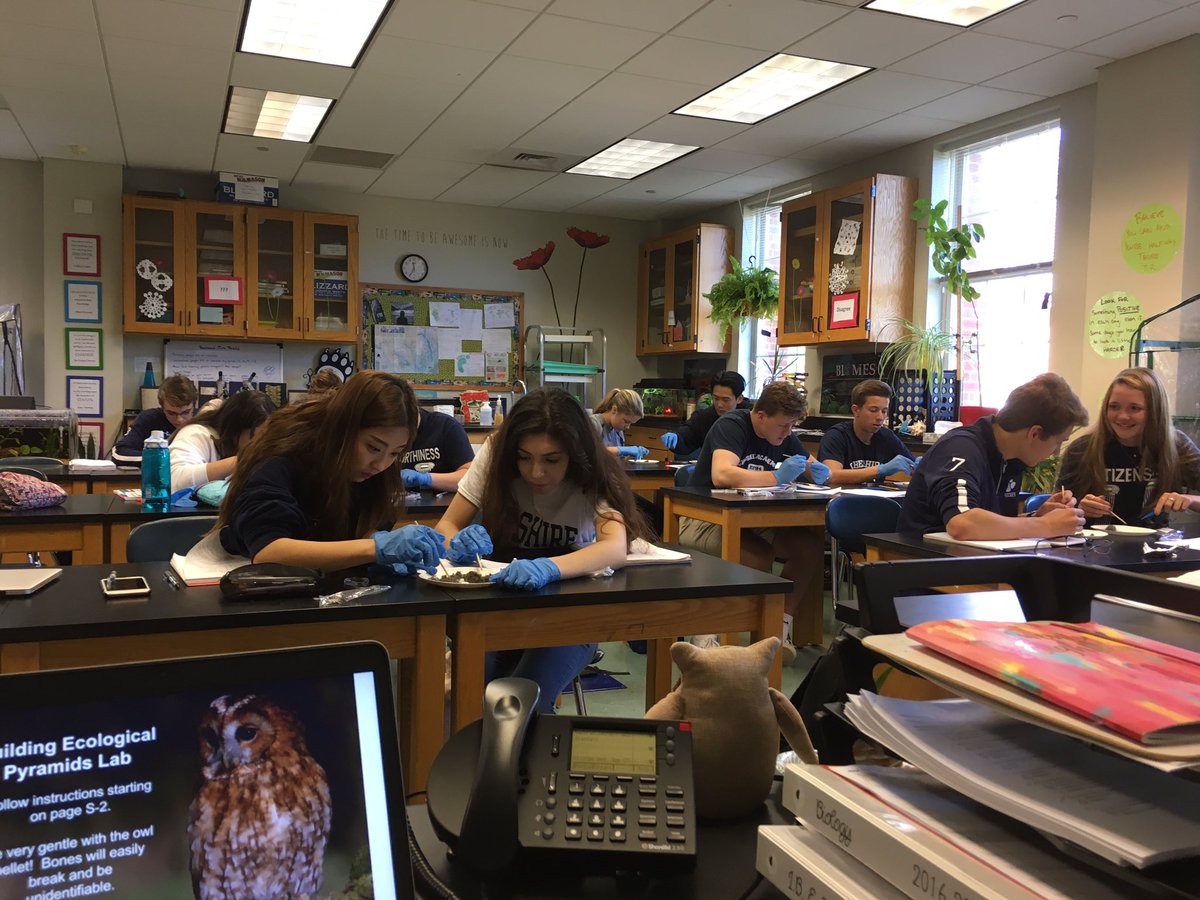 kathryn_cotter's tweet photo. Owl pellet dissection in IB ESS https://t.co/xxajTlLB01