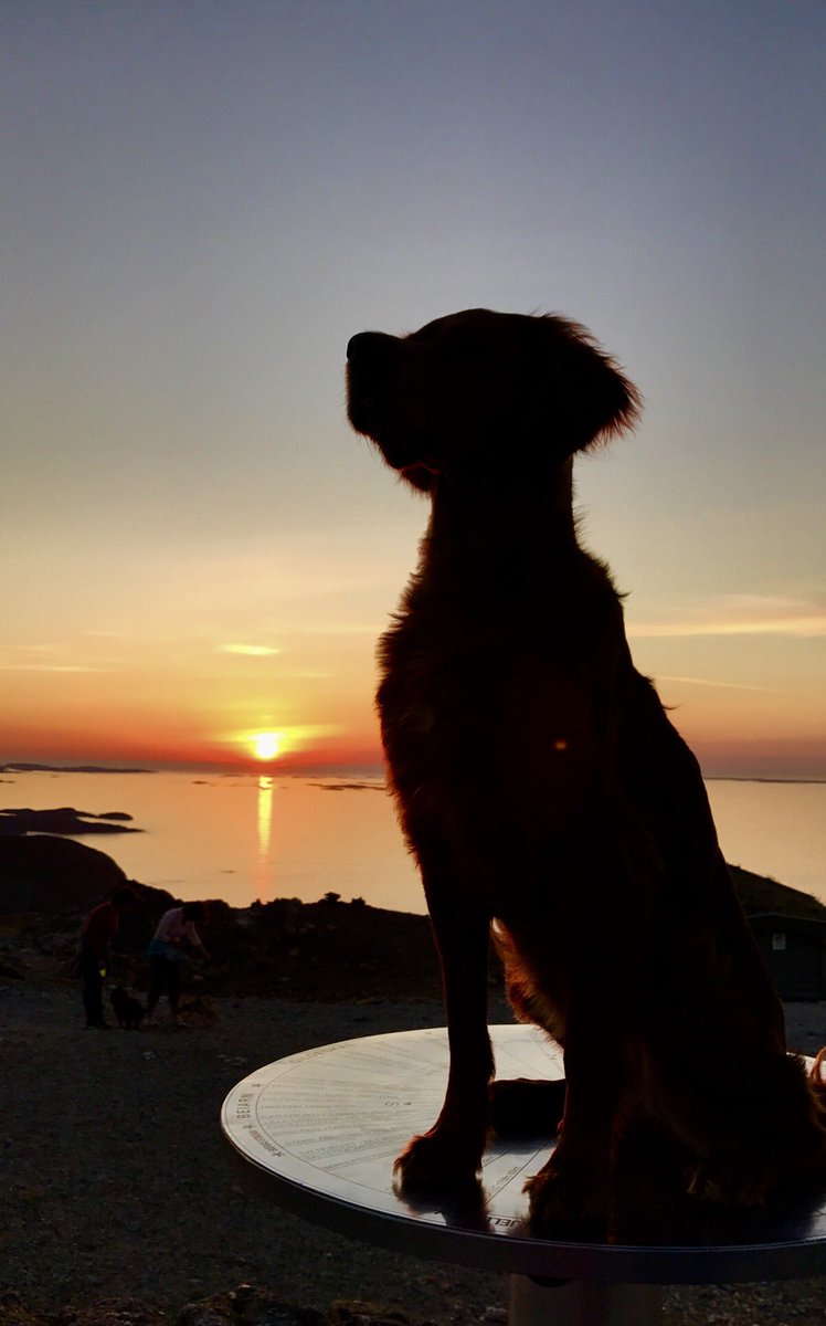 Bodø's svar på Key West🌅