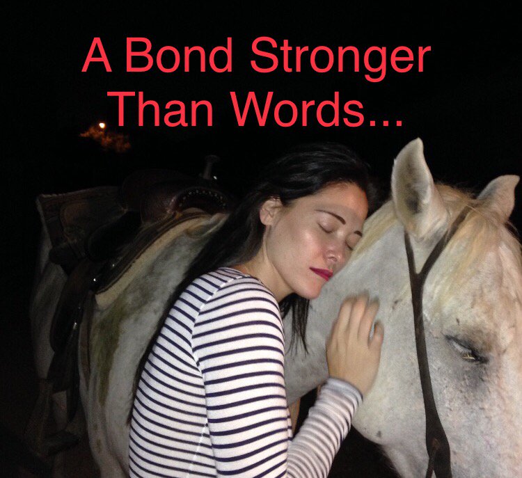 apriel777's tweet photo. I have endless love for these divine beautiful beings that I am connected with..#unbreakablebonds #unconditionallove #Horsepower #apriel https://t.co/mgiy6ozKsM