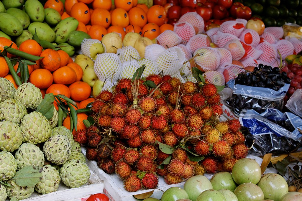 Atlas_Addict's tweet image. See Hoi An through the eyes of an artist in our newest feature, #photojournal // atlasaddict.net/photos-hoi-an/