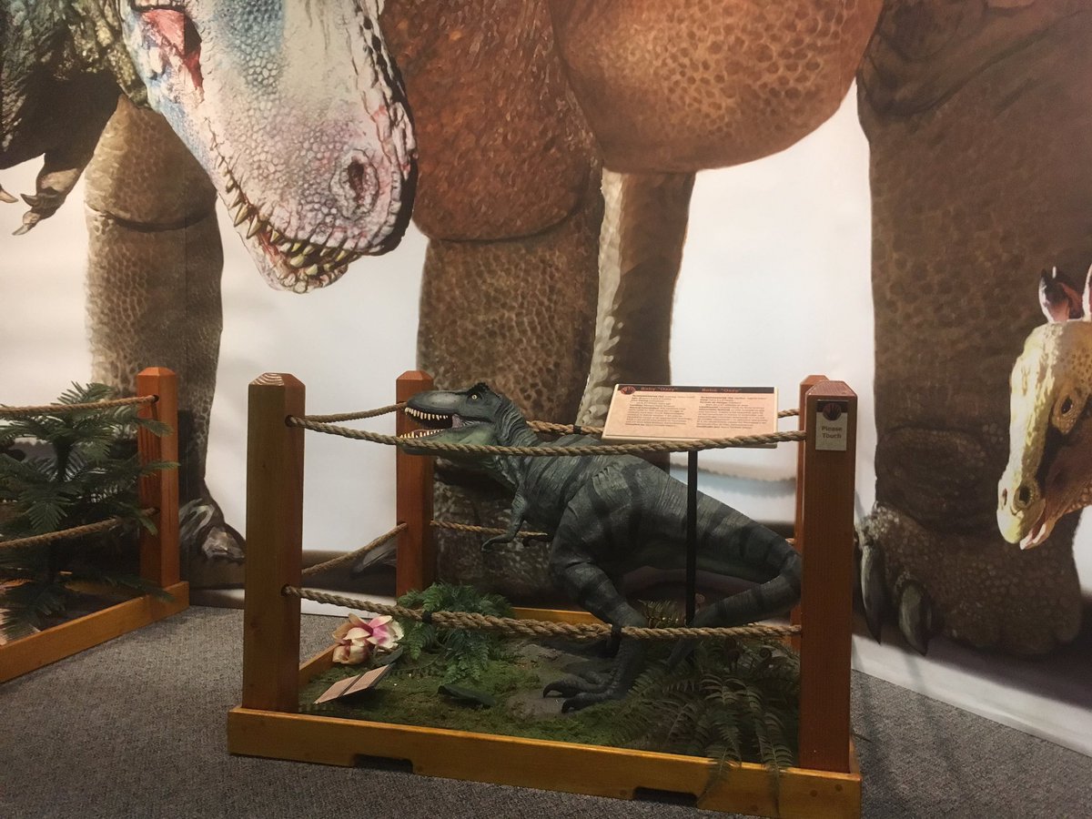 brianbingaman's tweet image. This is how big T-rex babies were, compared to their parents. There are even imagined dinosaur baby sounds @AcadNatSci