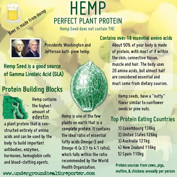 HempRoadTrip's tweet photo. Hemp is the perfect plant protein ! #HempHEALTH https://t.co/ytFUkxi46b