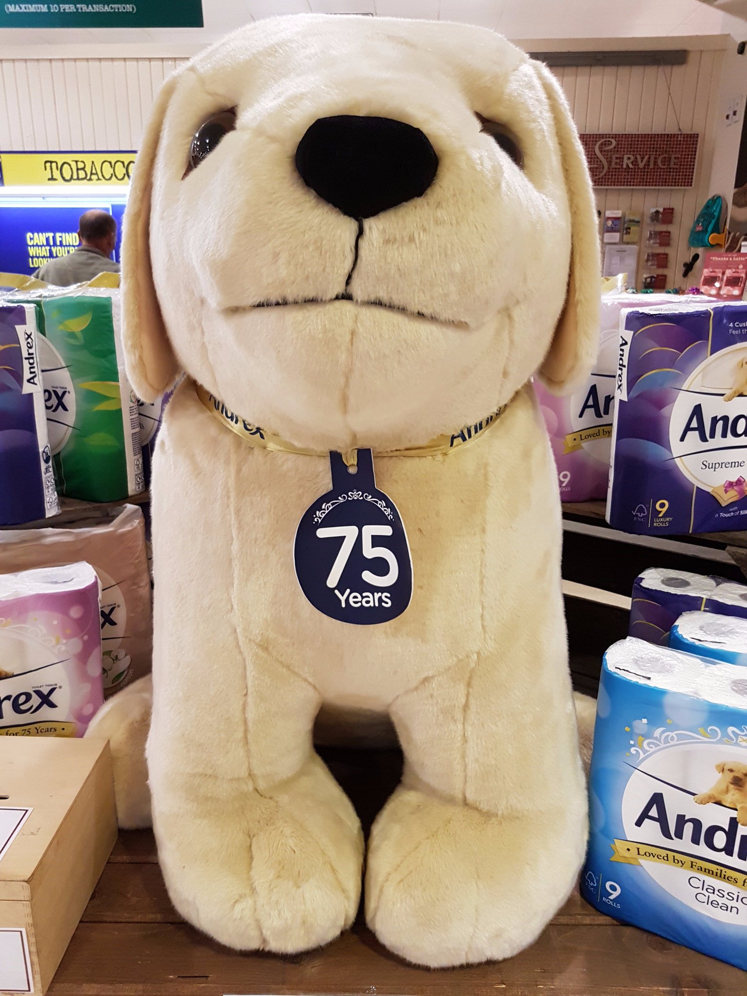 andrex puppy toy 75 years