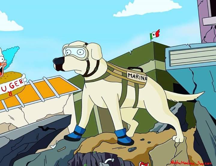 nomancheskevin's tweet photo. La #FridaRescatista como personaje de #LosSimson 🇲🇽
Que chido !! https://t.co/UPY0OxThPO