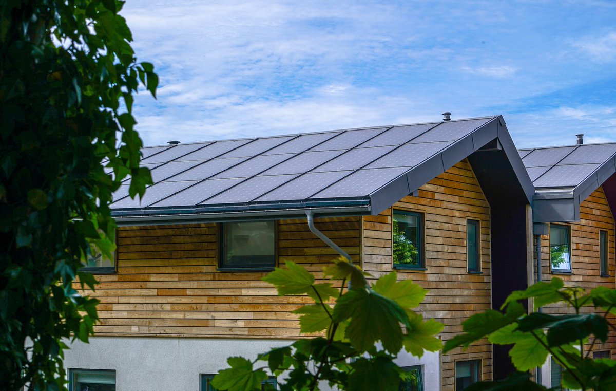 Zedfactory tweet media