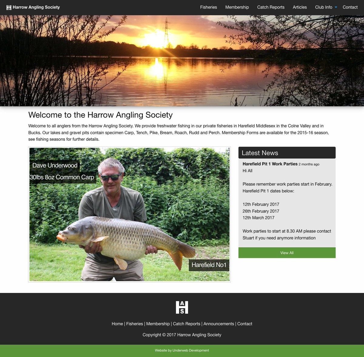 Underweb Development tweet media