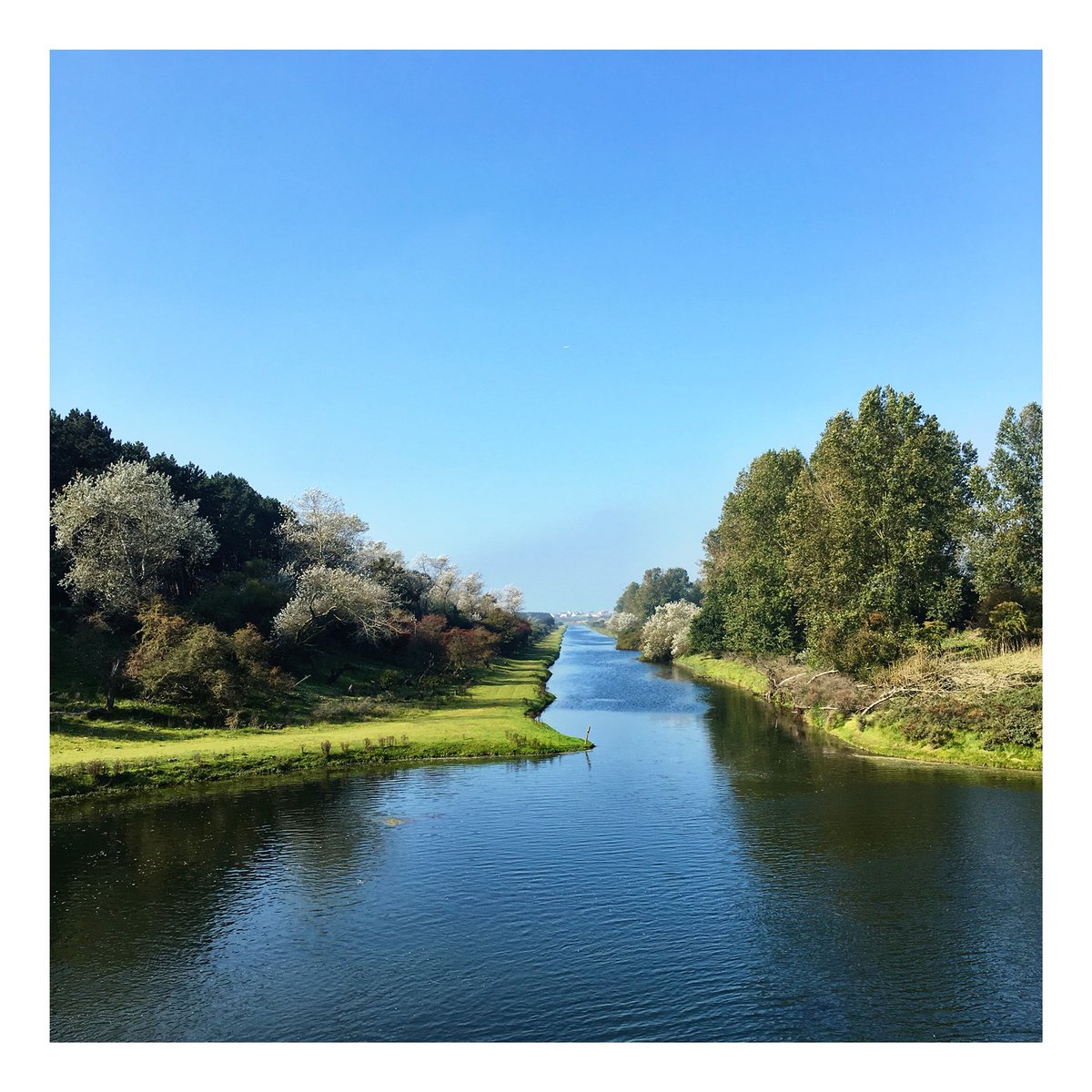 Zandvoort.
Gezien vanuit de Amsterdamse Waterleidingduinen @amsterdamsewaterleidingduinen
27 september 2017, 12:12 uur
Foto: #doberitzjo