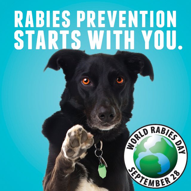 ArkansasVMA's tweet photo. Tomorrow, September 28 is World Rabies Day! Make an appointment with your veterinarian for a wellness check. https://t.co/MWOAupY7E7